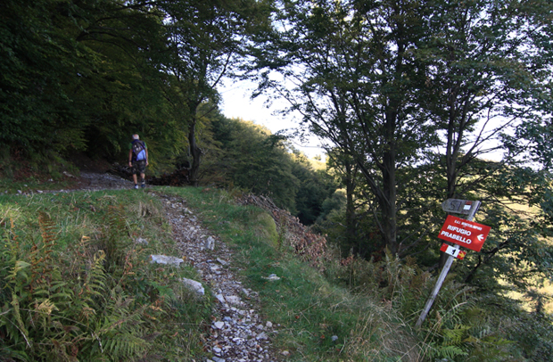 Intersezione con il Sentiero Nr. 1 che proviene da Pian delle Alpi