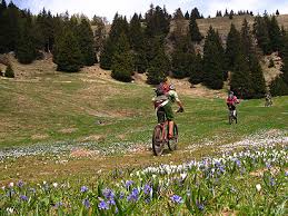 Mountain Bike Lombardia