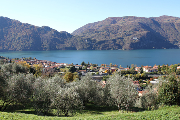 Panorama su Abbadia e sul Lago di Como