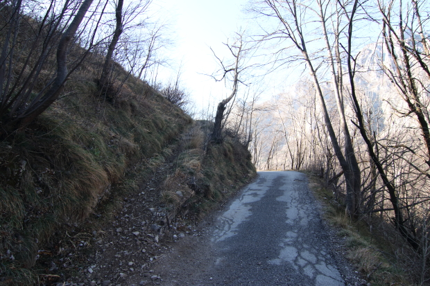 Strada per Montalbano da Laorca