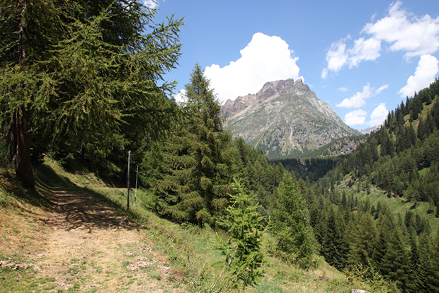 Lungo l'Antica Mulattiera dell'Alpe Devero, panorami unici