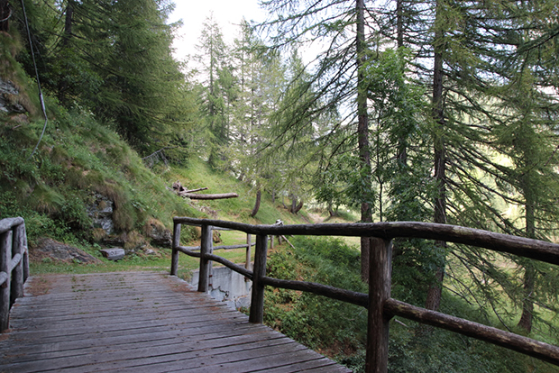 Lungo l'Antica Mulattiera dell'Alpe Devero, tratto pianeggiante nel bosco con le passerelle