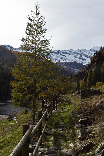 Sentiero all'Alpe Vassoncino