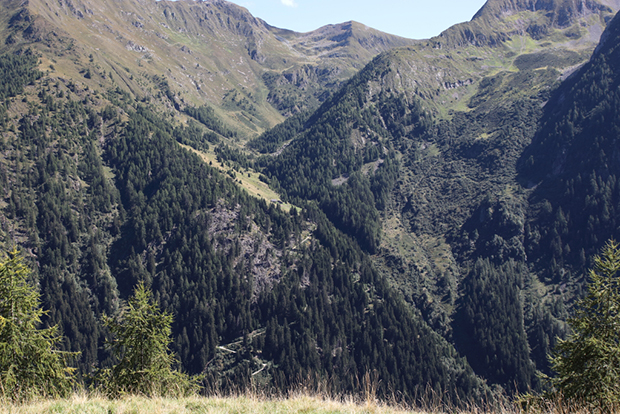 Vista della Malga Bondone e della Val Brandet