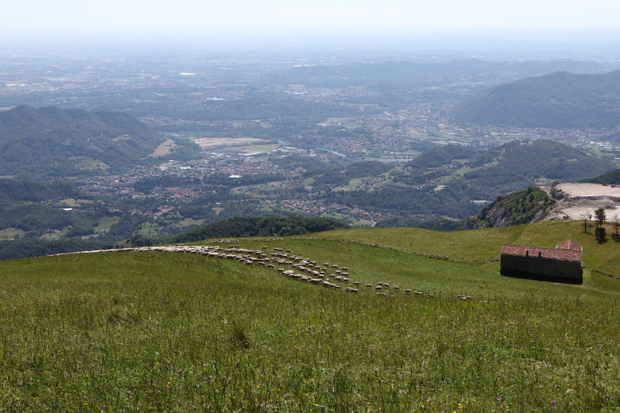 Panorama dal Monte Linzone