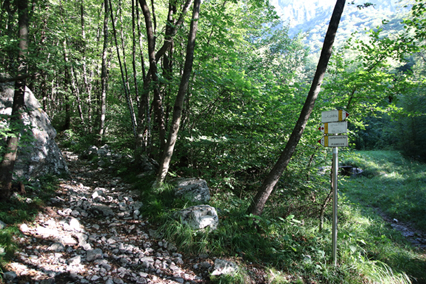Seguire i cartelli escursionistici Sentiero 6/7 nel bosco