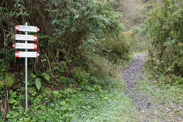Svoltare a destra nel bosco per Valle dei Mulini e Rifugio Bogani