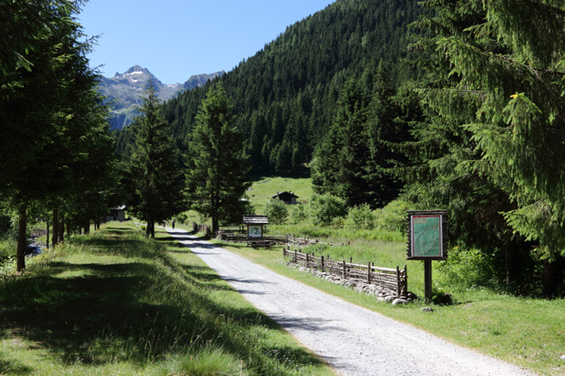 Sentiero attraverso la Val Brandet