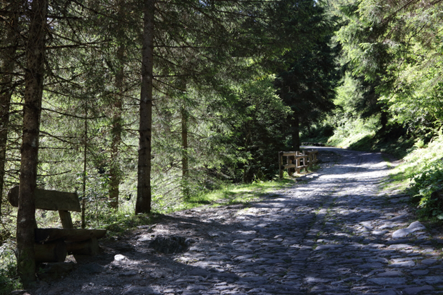 Strada ciottolata verso la Val Brandet