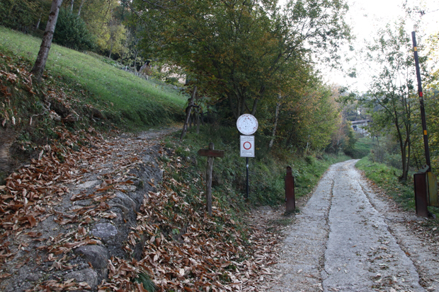 Seguiamo a sinistra il sentiero nel bosco per Alpe Piazza