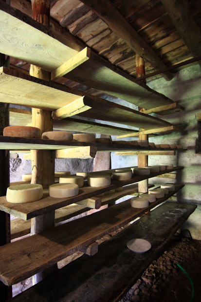 I formaggi prodotti dall'Alpe Dolcigo
