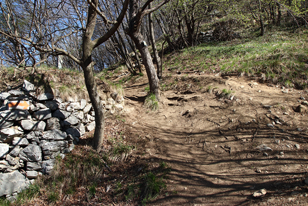 Primo tratto del sentiero che porta alla vetta del Monte San Martino Crocione