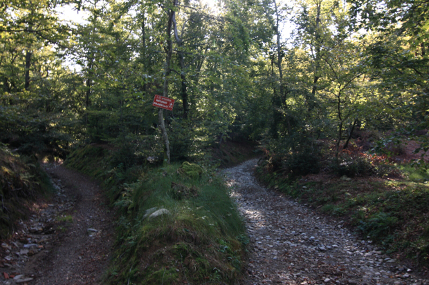 Sentiero nel bosco, primi cartelli