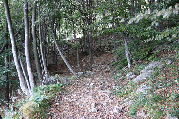 Primo tratto nel bosco, Sentiero 9 verso Rifugio Rosalba