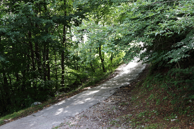 Il Sentiero 1 che incrocia la strada proveniente da Valbrona (Co) loc. Alpe Oneda
