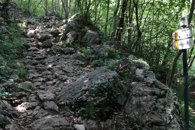 Il Sentiero 7 verso Sambrosera, prima parte nel bosco