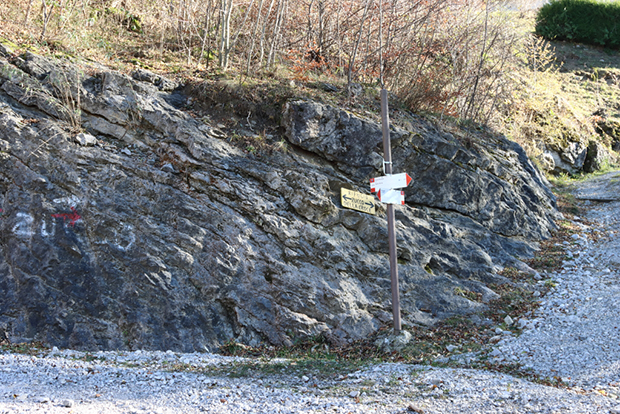 Primi cartelli escursionistici verticali che indicano il Rifugio, svoltiamo a sinistra