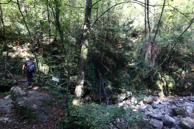 Sentiero del Viandante -Torrente Meria nei pressi di Rongio fraz. Mandello (Lc)