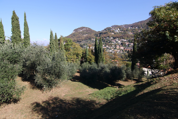 Il Castello di Vezio, giardino di ulivi