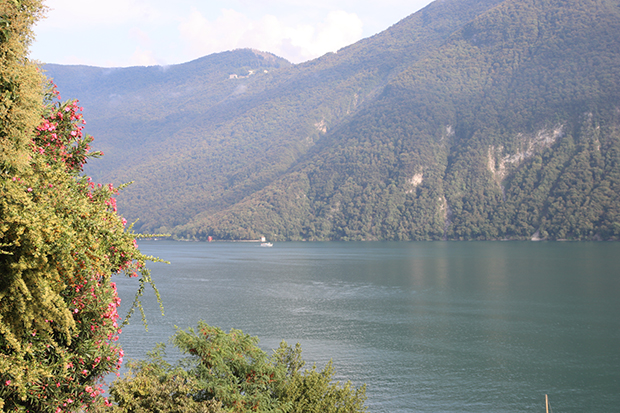 Sentiero dell'Olivo a Lugano, vista del Lago