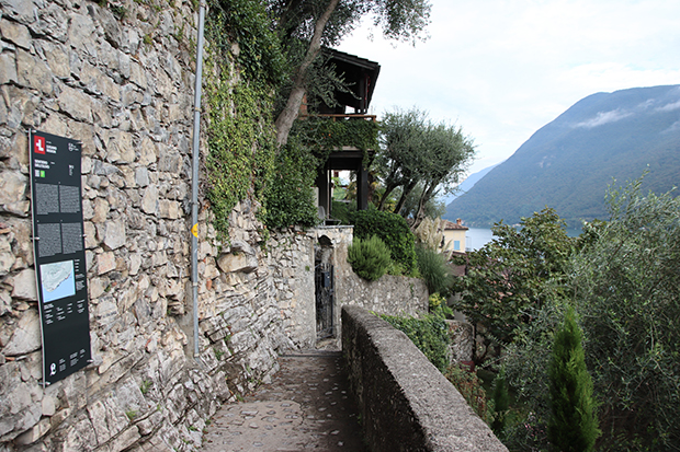 Sentiero dell'Olivo a Lugano, discesa verso Gandria
