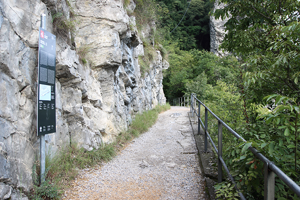 Sentiero dell'Olivo a Lugano, il settimo tabellone