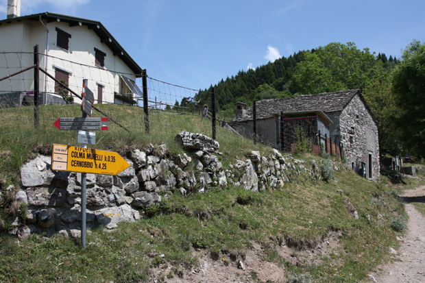 Colma di Binate - quota 1133 mt.