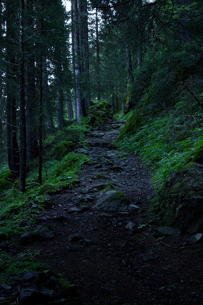 Primo tratto di sentiero nel bosco