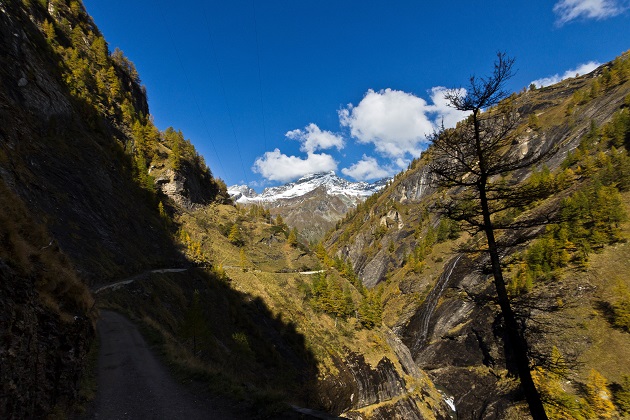 La strada si inoltra nella gola verso l'Alpe Veglia