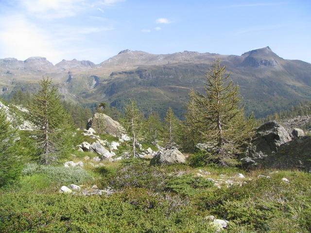 Alpe Valdeserta