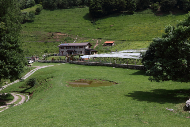 Agriturismo Le Radici - Vasta panoramica Drone in estate