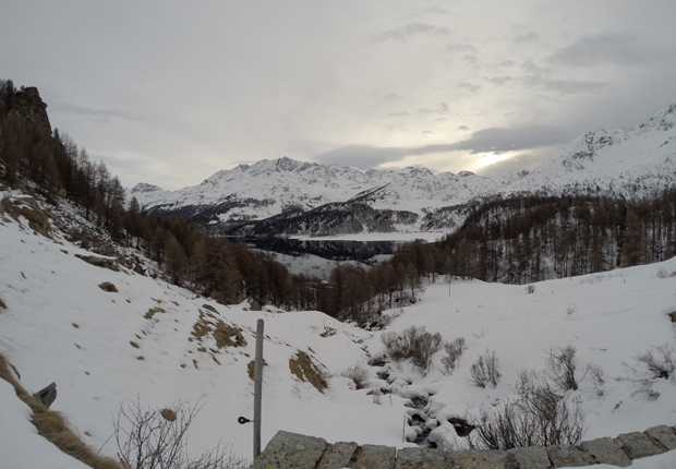 Panorama sul Lago dall'Alpeggio Grevasalvas 