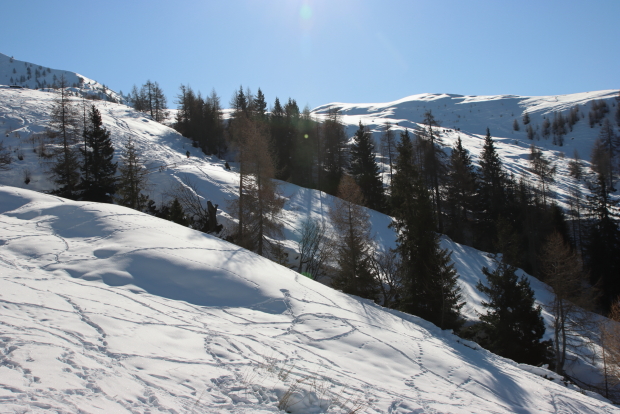 Meraviglioso panorama invernale dal Rifugio Alpe Piazza