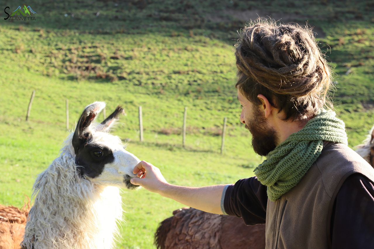 Agriturismo Le Radici, Giacomo con i Lama
