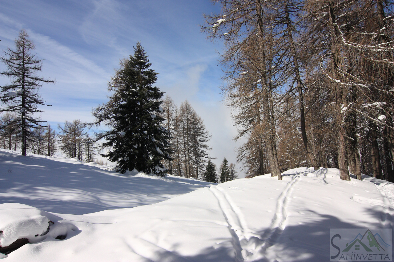 Alta Valsassina, Alpe di Paglio, con la neve