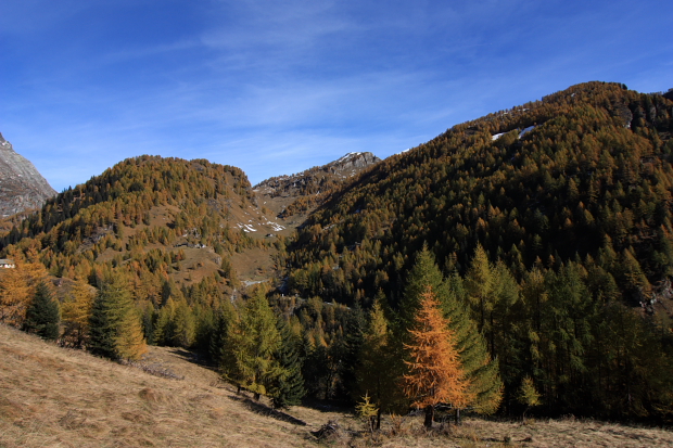 Lungo l'Antica Mulattiera dell'Alpe Devero, panorami unici nella stagione autunnale